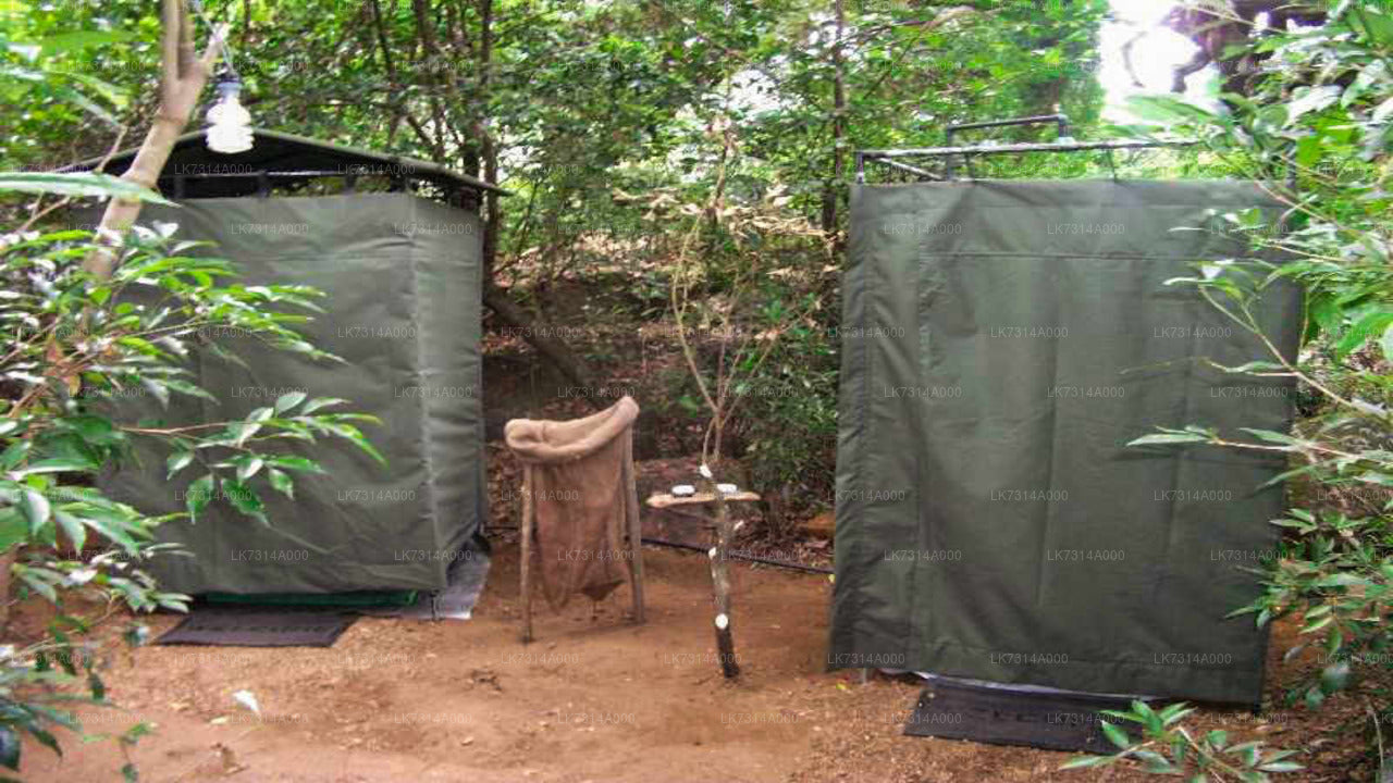 One Night Camping in Yala National Park