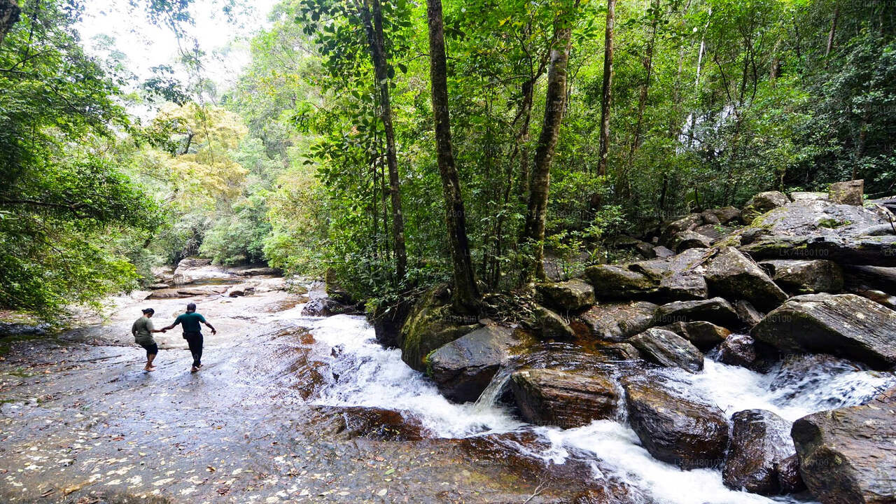 Прогулка по тропическому лесу Синхараджа