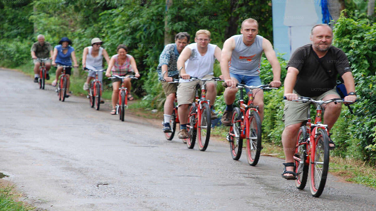 Dutch Fort and City by Bicycle from Galle