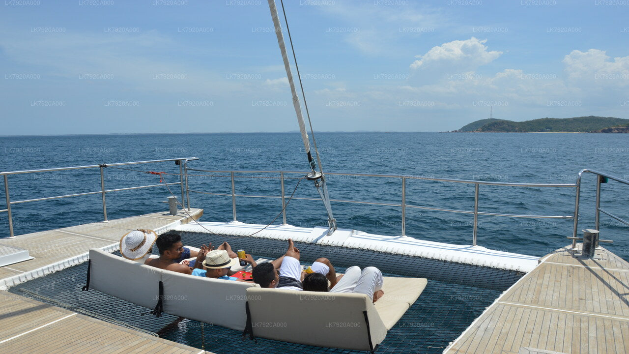 Sail to Delft Island