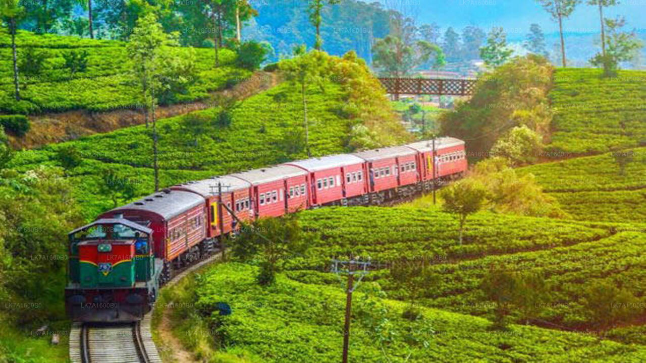 Colombo to Badulla train ride on (Train No: 1015 "Udarata Menike")