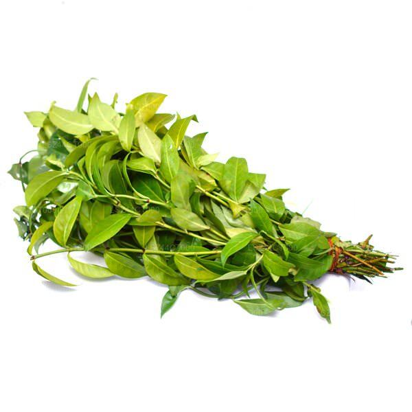 Lakpura Gonika Leaves