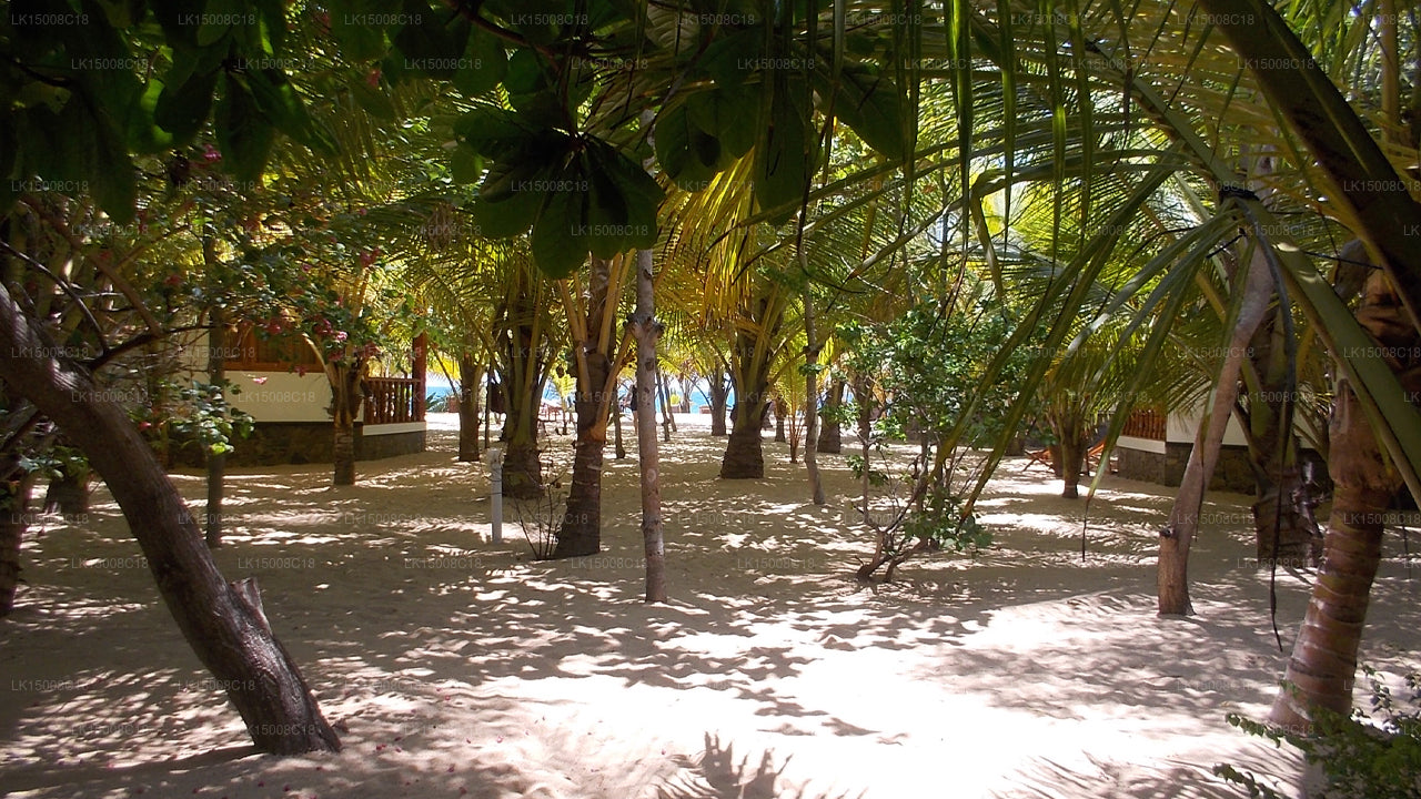 Patini Bungalows, Tangalle