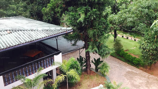Rock House Matale
