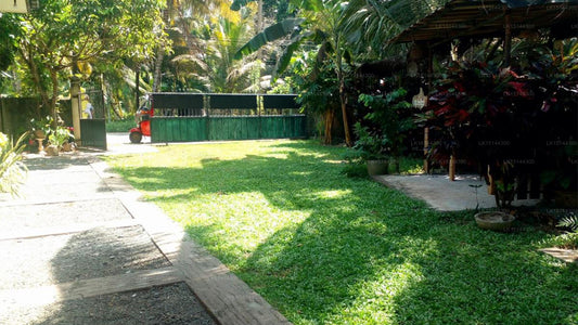 Stemyra, Negombo