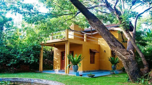 Raintree, Dambulla