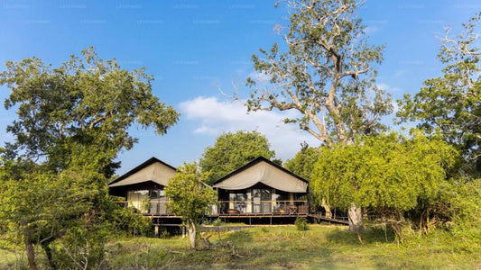 Leopard Trails,Yala