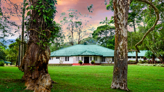 The Other Corner, Galaha