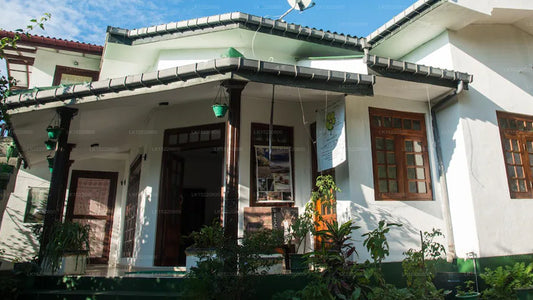 Eco Point, Ella