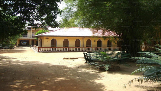 Chamara Guest House, Dambulla