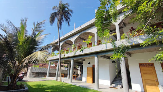 Flying Fox, Mirissa