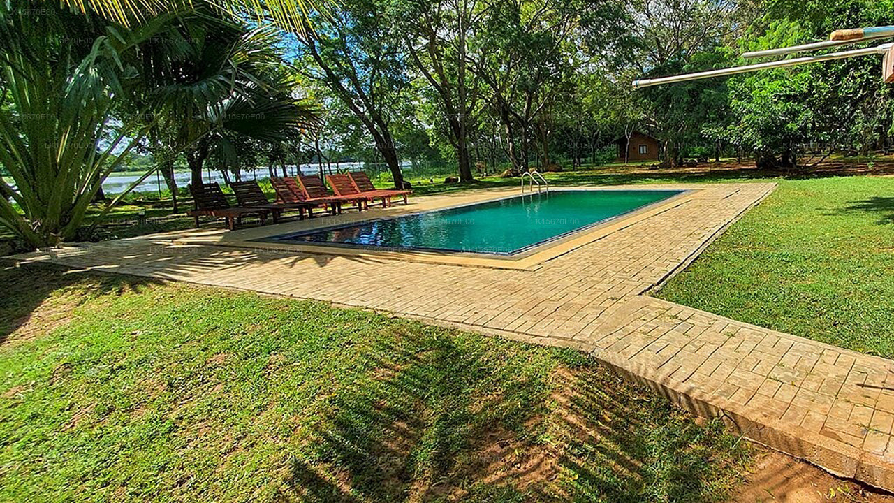 Tranquil Wild, Yala