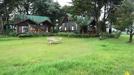 Cube, Nuwara Eliya