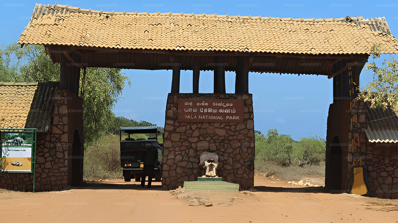 Private Tour from Hiriketiya to Ella with Yala Safari