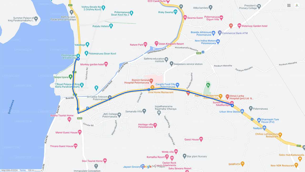 Исследуйте Королевство обезьян из Полоннарувы