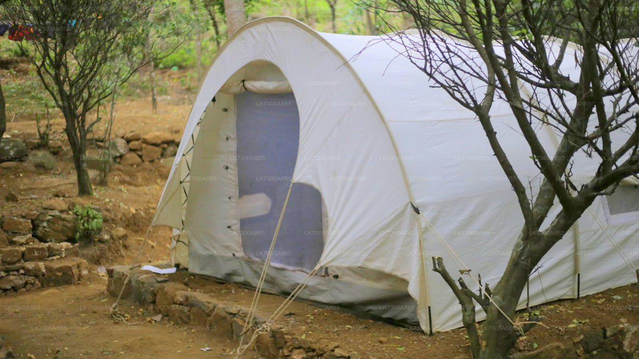 Camping in Meemure