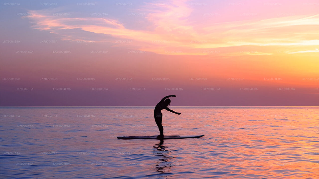 3-hour Shared Sunset Cruise from Mirissa