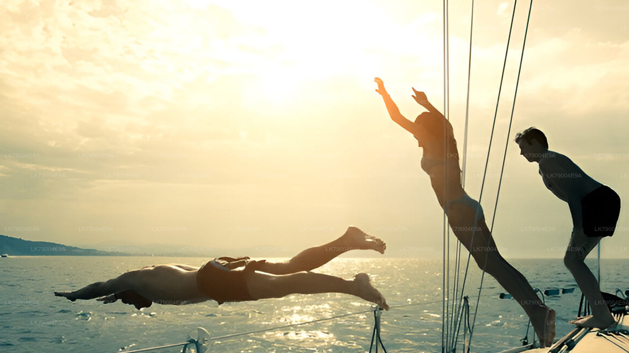 3-hour Shared Sunset Cruise from Mirissa