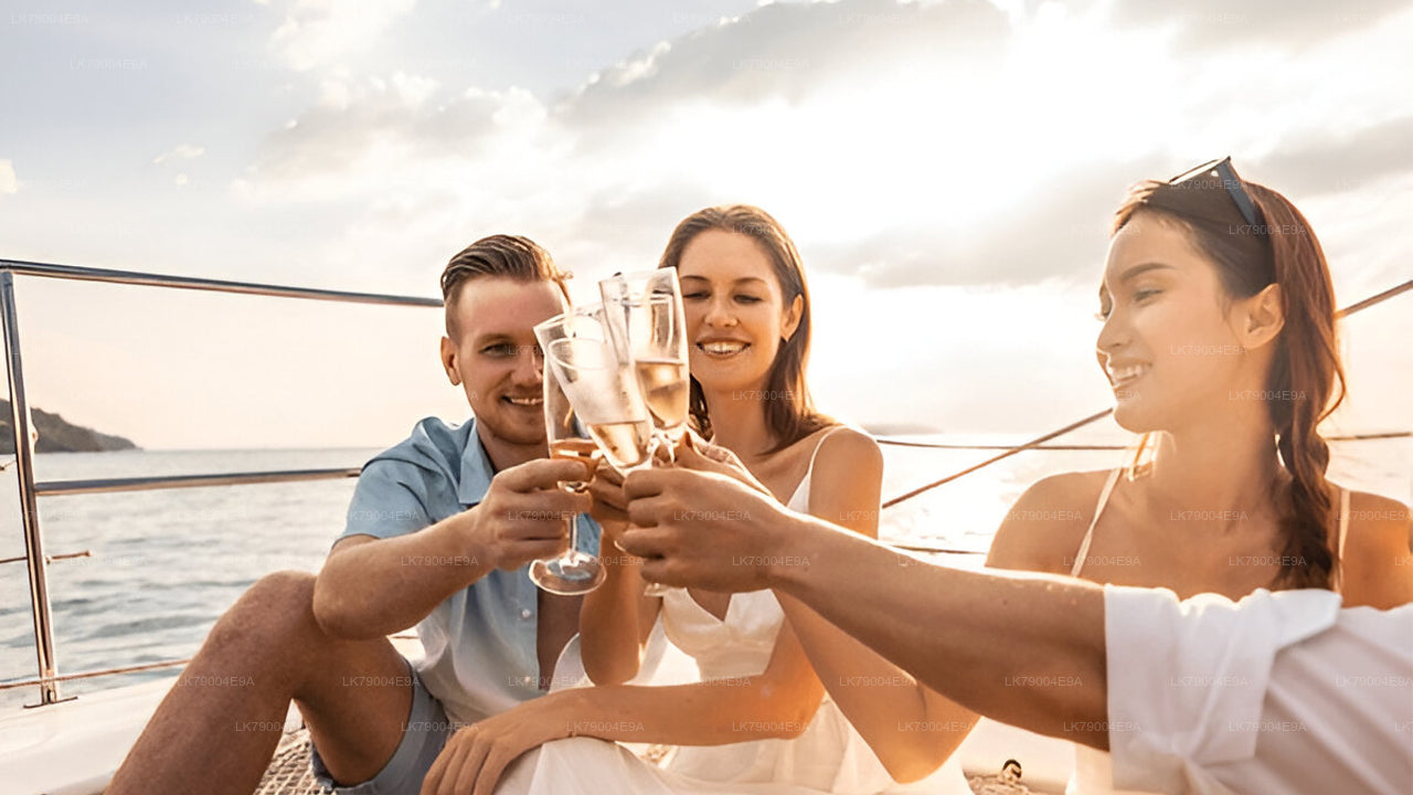 3-hour Shared Sunset Cruise from Mirissa