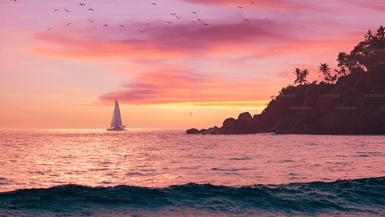 3-hour Shared Sunset Cruise from Mirissa