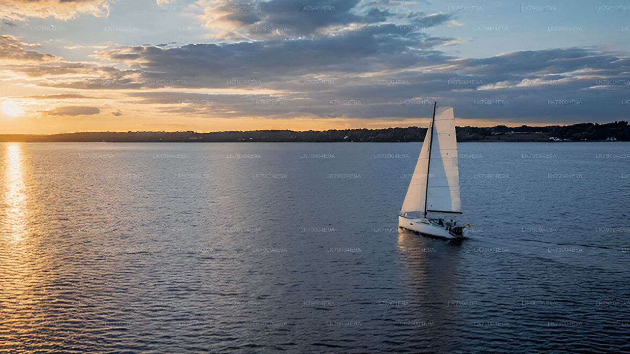 3-hour Shared Sunset Cruise from Mirissa