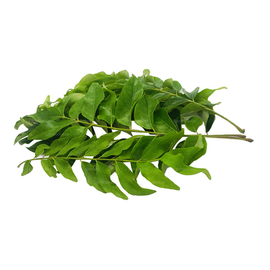 Свежие листья карри Lakpura (100 г)