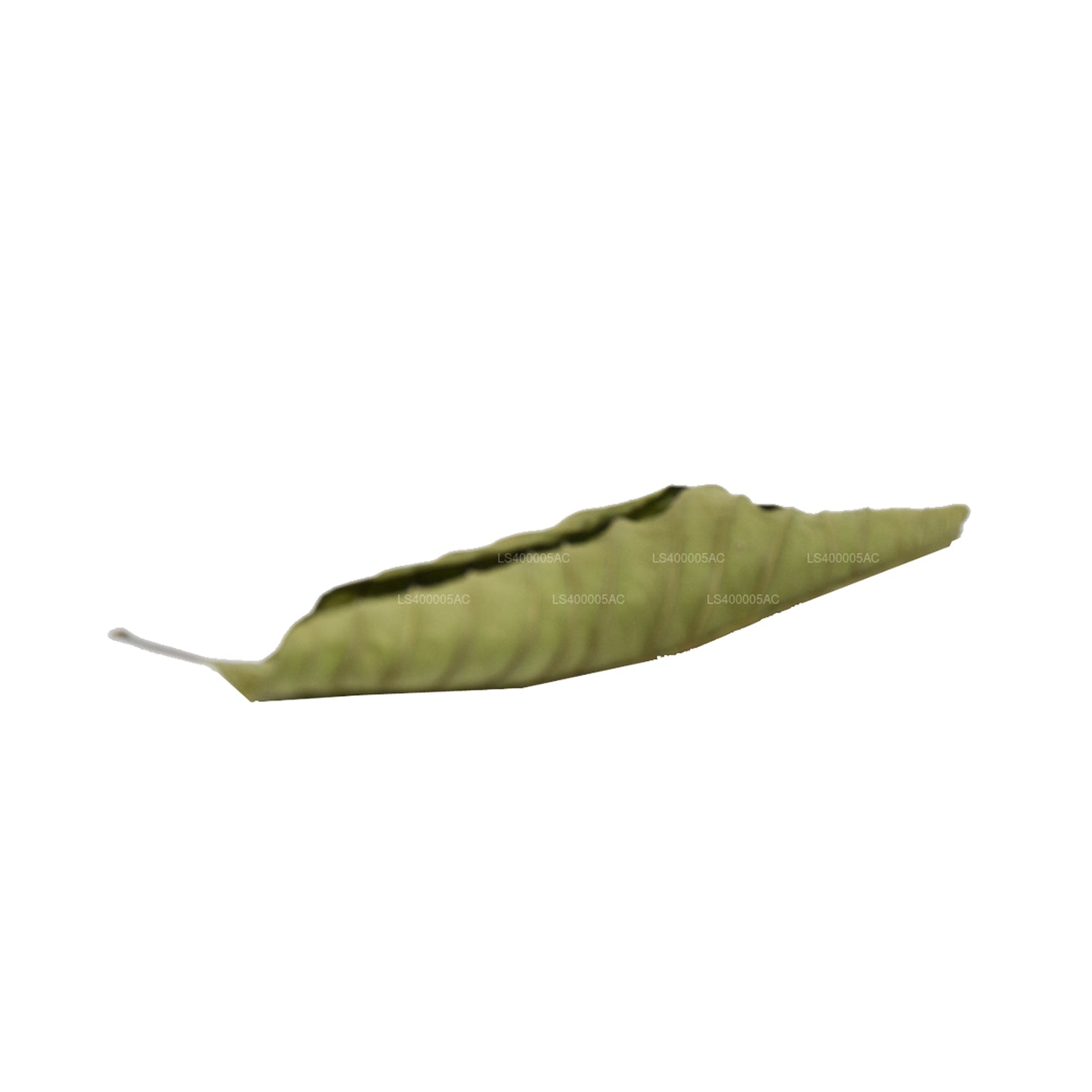 Lakpura Dehydrated Guava Leaves (200g)