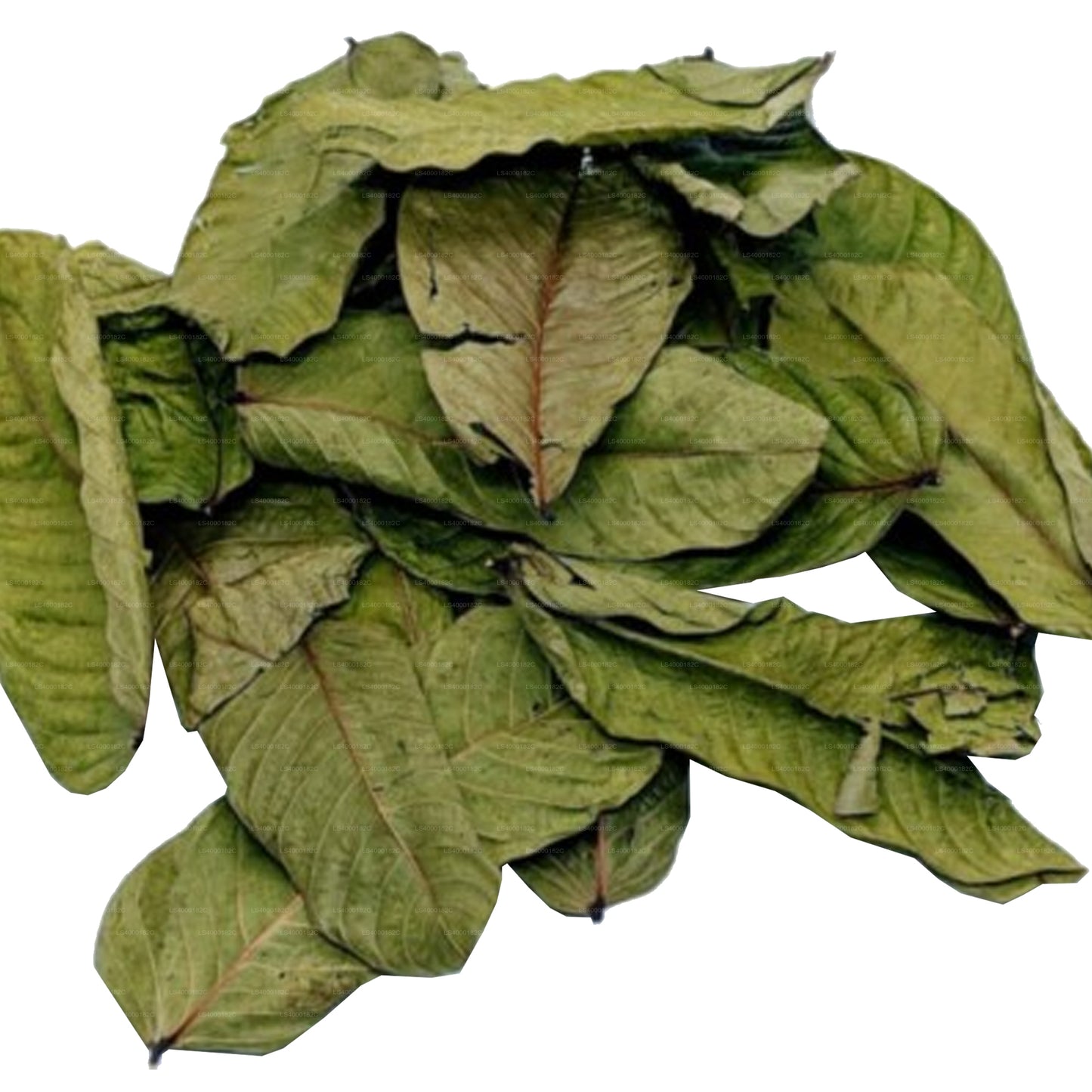 Ransaru Wildcrafted Dehydrated Eththora (Senna Alata,Cassia Alata) Crushed Leaves Pack