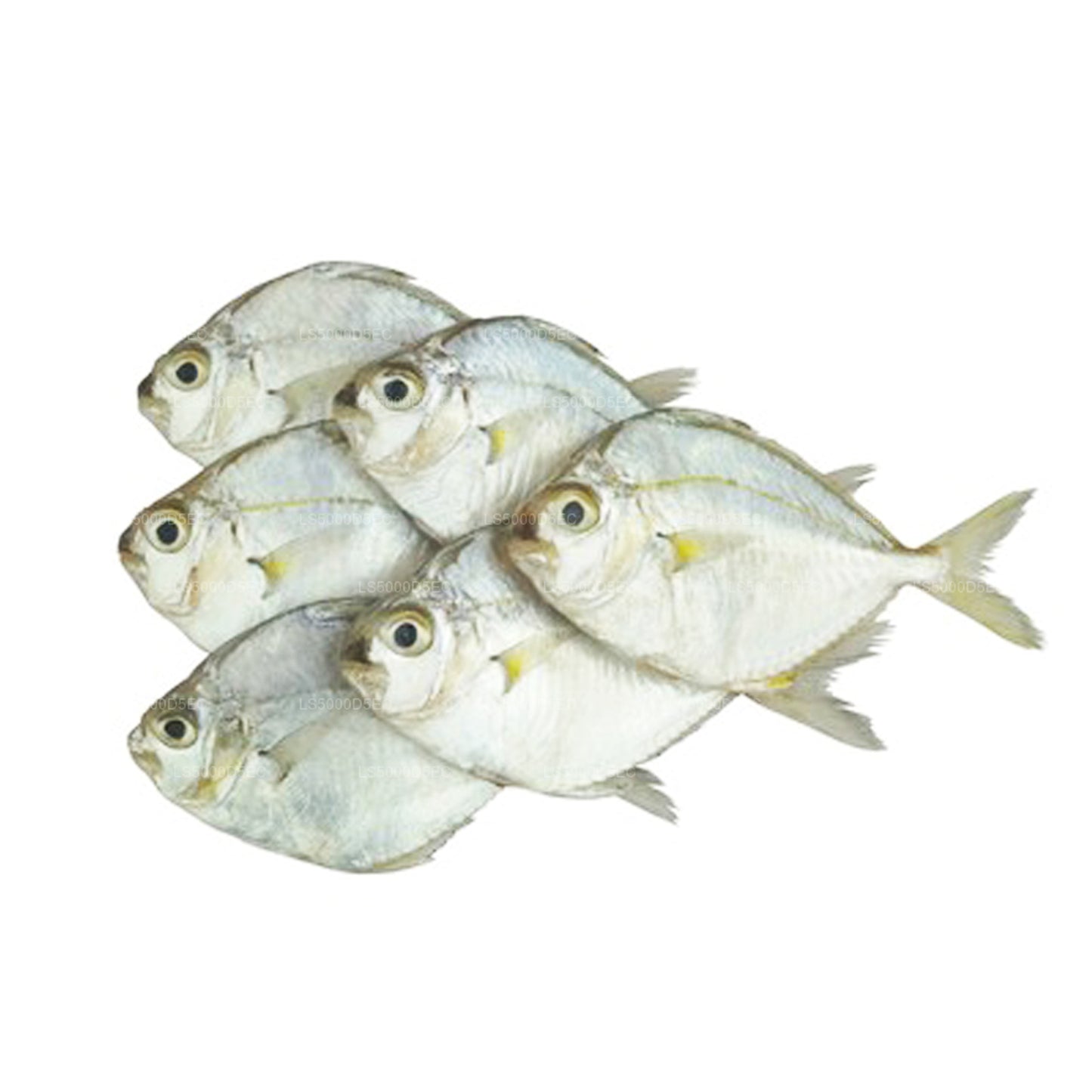 Сушеная рыба пони Lakpura (200 г)