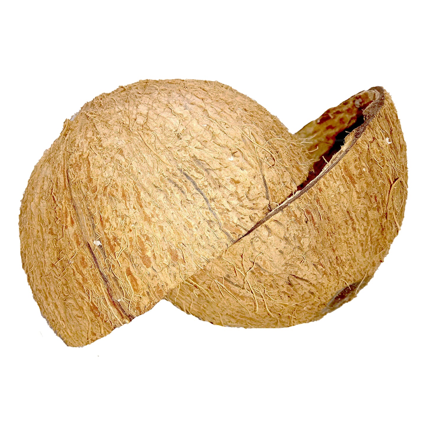 Половинки скорлупы кокосового ореха (2 шт.)