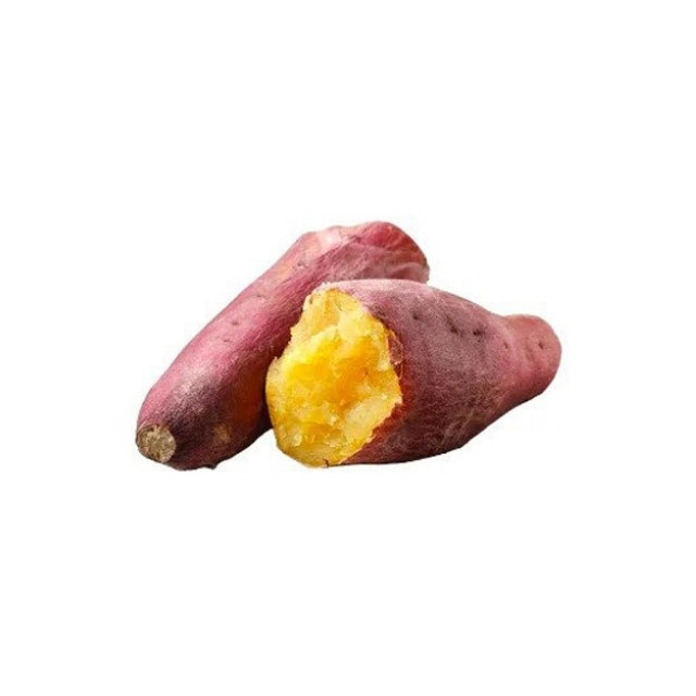Lakpura Bushy Sweet Potato Plant