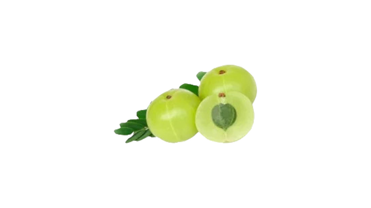 Lakpura Indian Gooseberry (Beheth Nelli) Grafted Plant