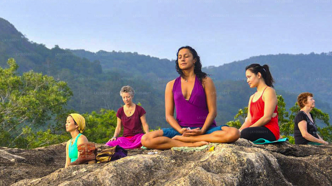Тур по медитации и йоге (5 дней)