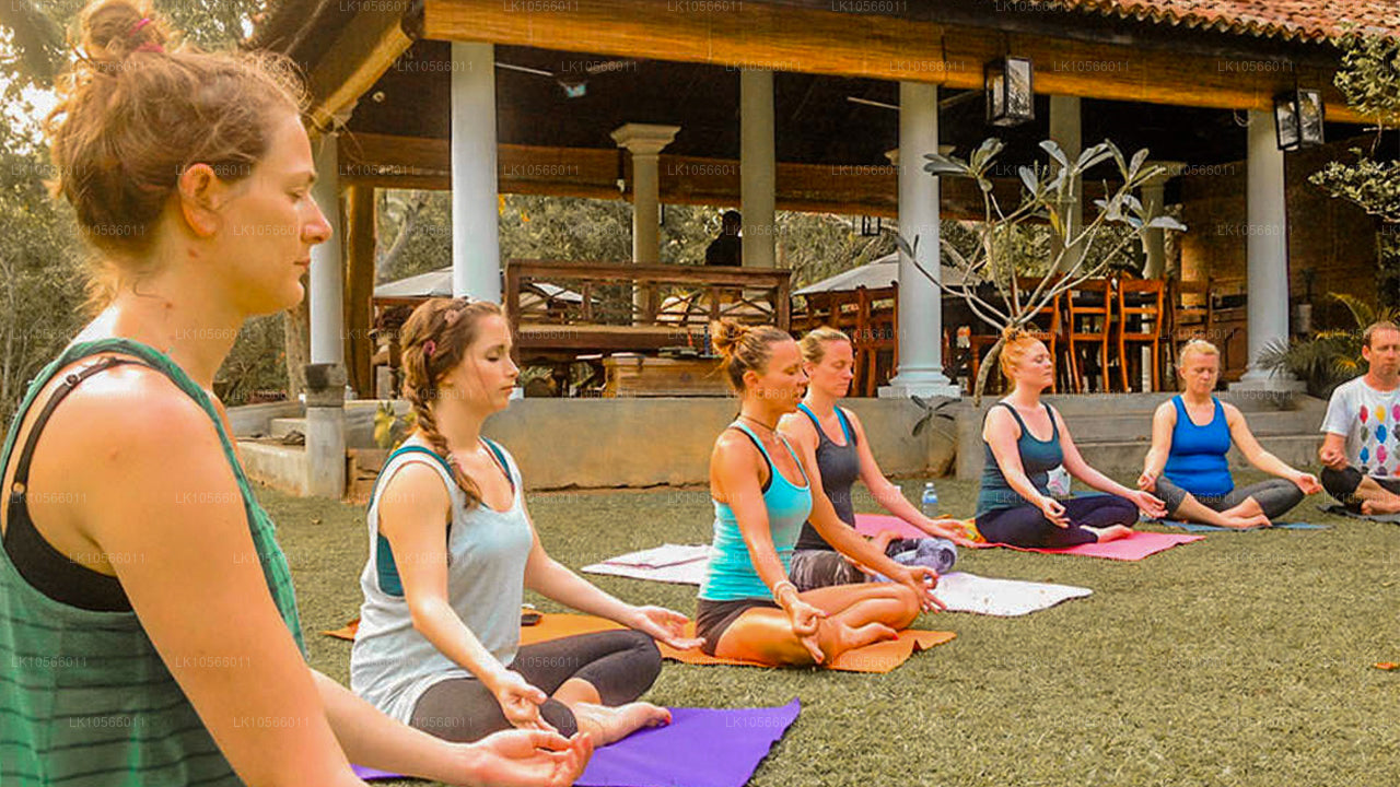 Тур по медитации и йоге (5 дней)