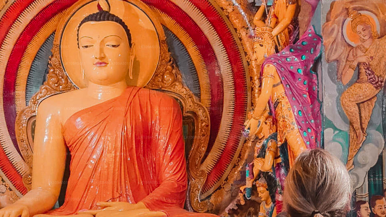 Буддийский паломнический тур (9 дней)