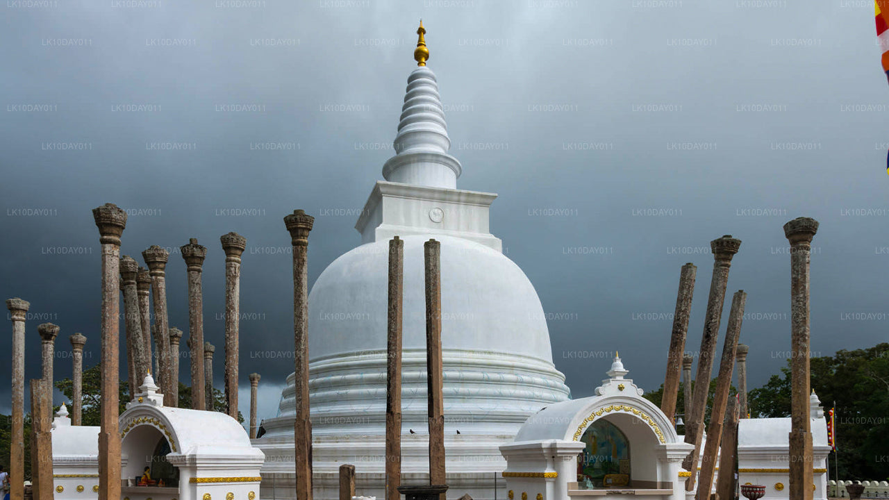 Буддийский паломнический тур (13 дней)
