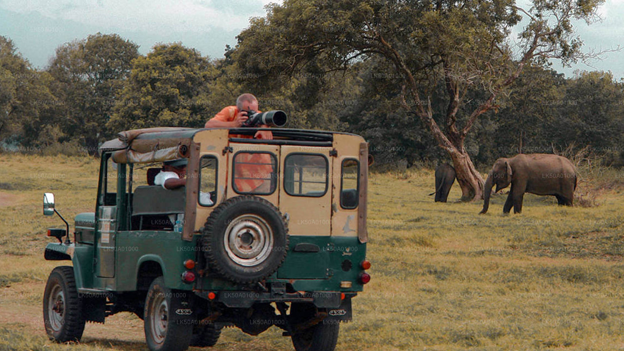 Udawalawe National Park Safari
