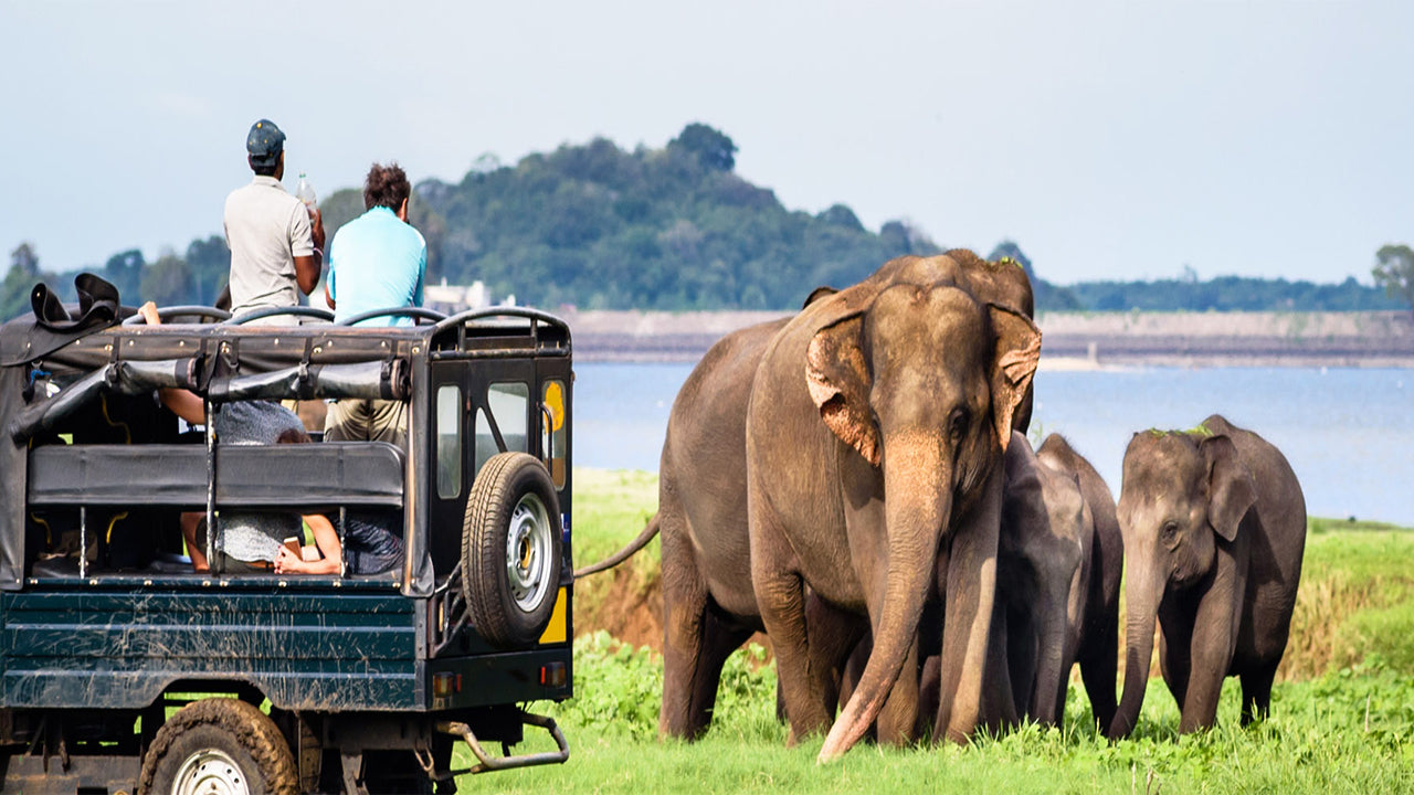 Частное сафари в национальном парке Бундала