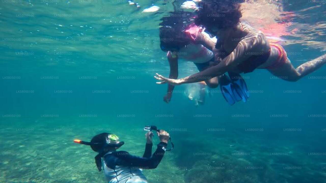 Подводное плавание из Негомбо