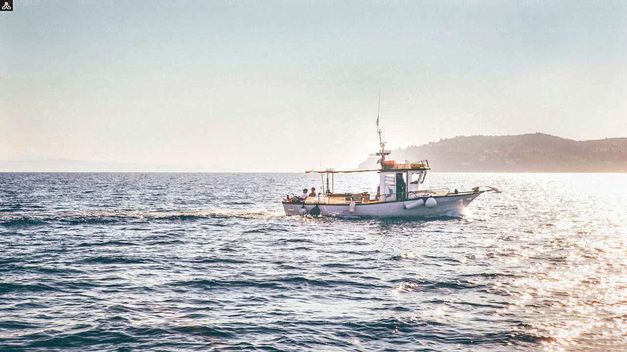 Экскурсия на лодке для глубоководной рыбалки из Хиккадувы