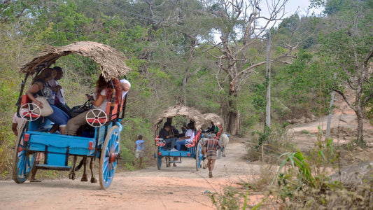 Тур по деревенской жизни из Канди
