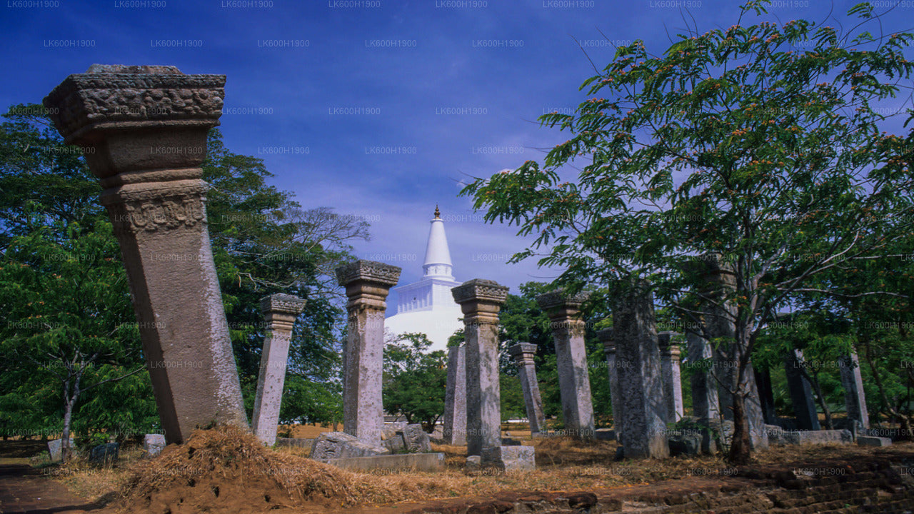 Священный город Анурадхапура из Коломбо