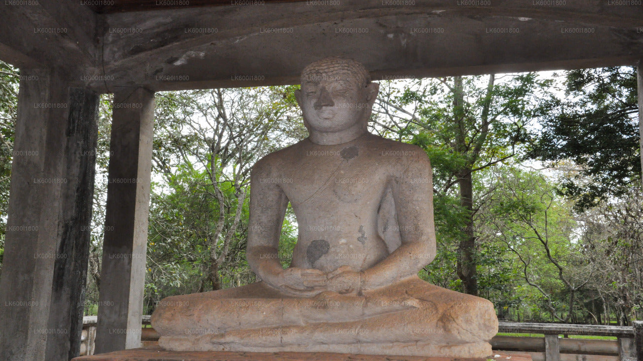 Экскурсия по буддийским иконам Анурадхапуры из Дамбуллы