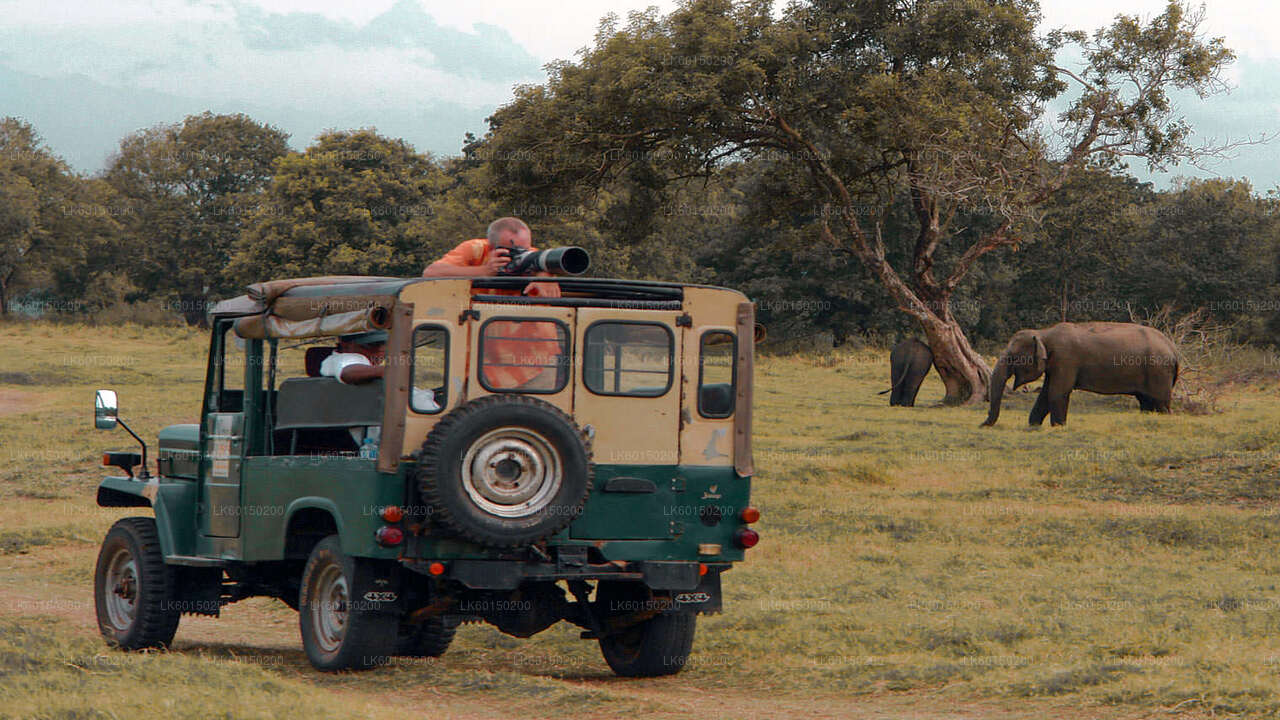 Сафари в национальном парке Удавалаве из Тангаллы