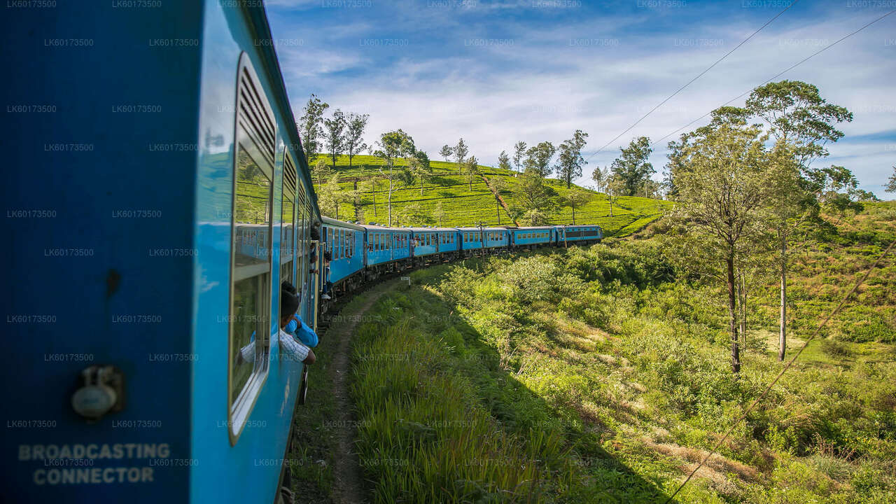 Живописная поездка на поезде в Эллу из Канди