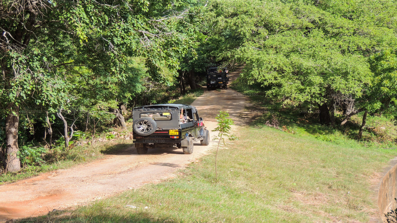 Сафари в национальном парке Каудулла из Канди
