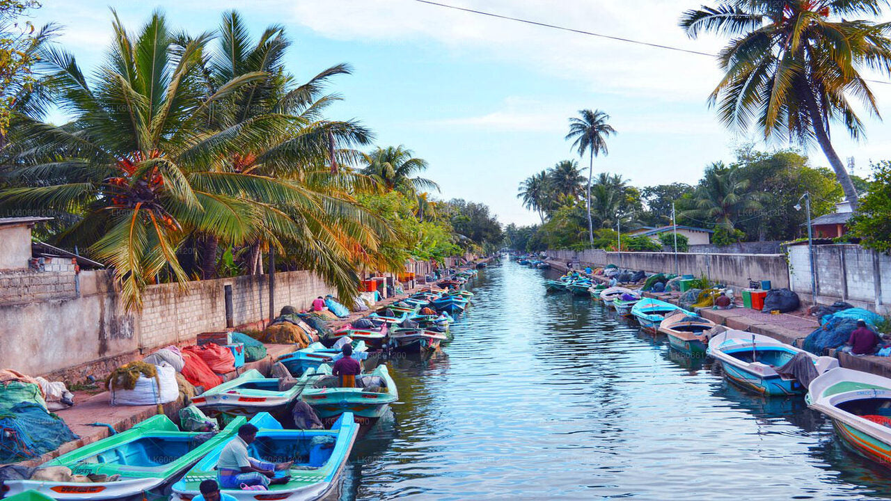 Negombo City Tour from Mount Lavinia