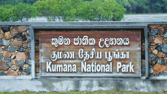 Входные билеты в национальный парк Кумана