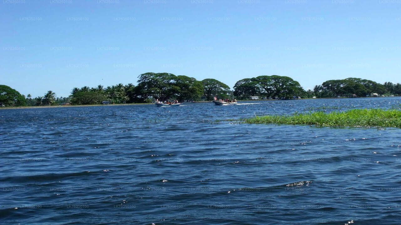 Прогулка на лодке по озеру Тиссамахарама