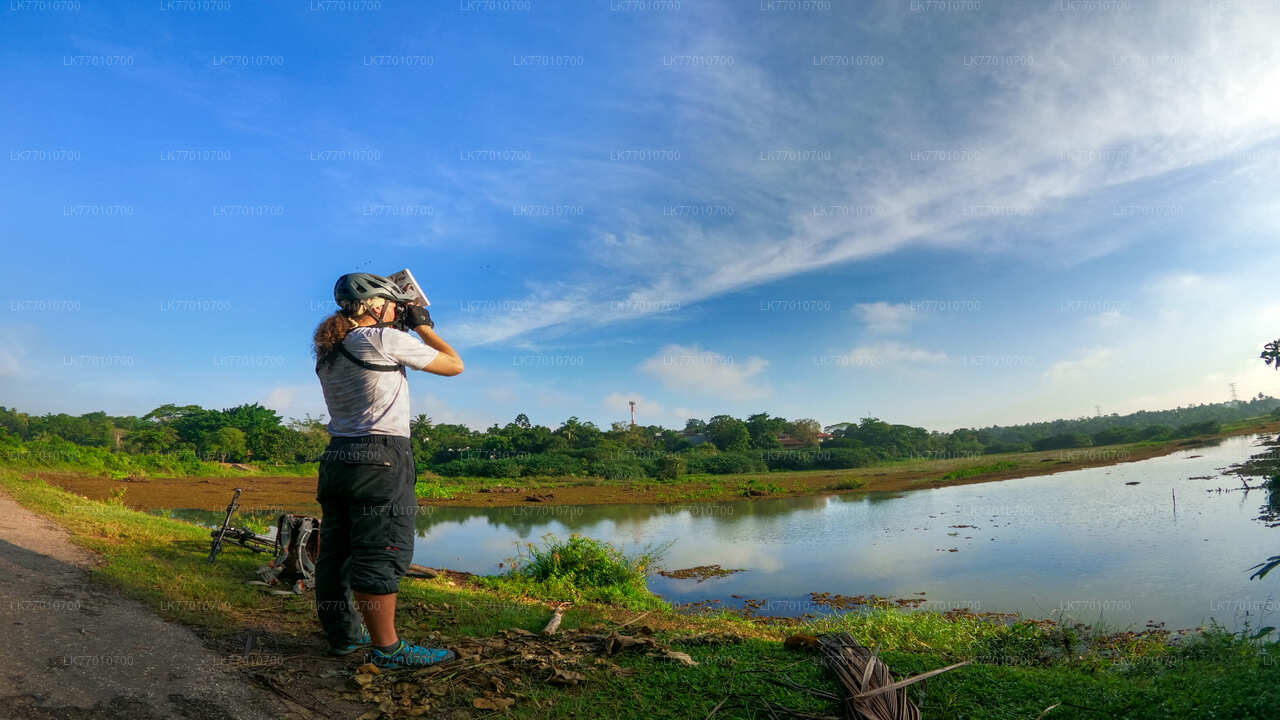 Cycling in Thalangama Wetland